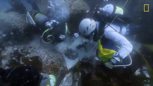 Diving With a Purpose- Finding Slave Shipwrecks