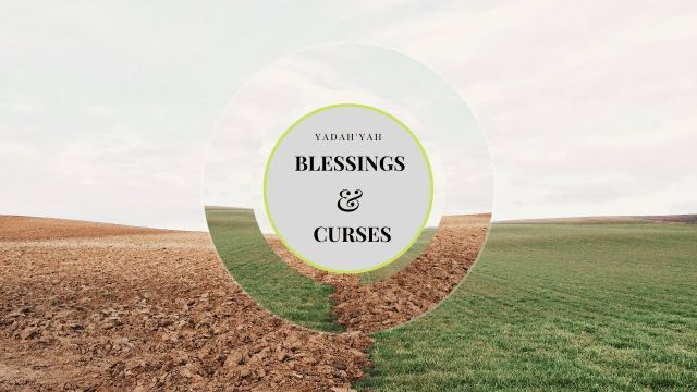Blessings & Curses - Yadah'Yah