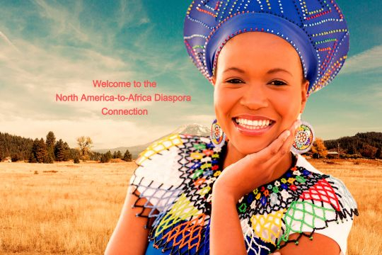 Learn About Africa From the African Diaspora in the US Living There