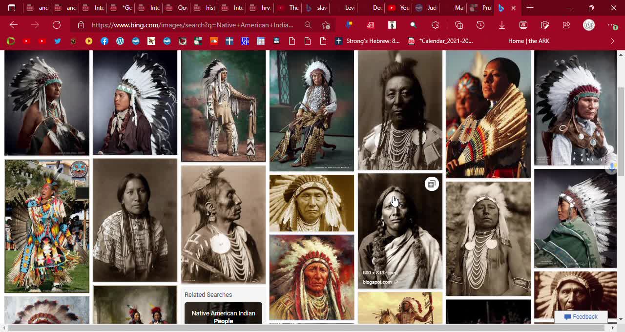 Native American Indians ( HEBREWS /NEGROS OR NOT )