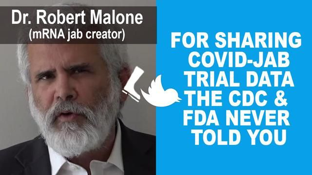 THIS VIDEO GOT DR ROBERT MALONE BANNED FROM TWITTER: JAB TRIAL DATA THE CDC & FDA NEVER TOLD YOU