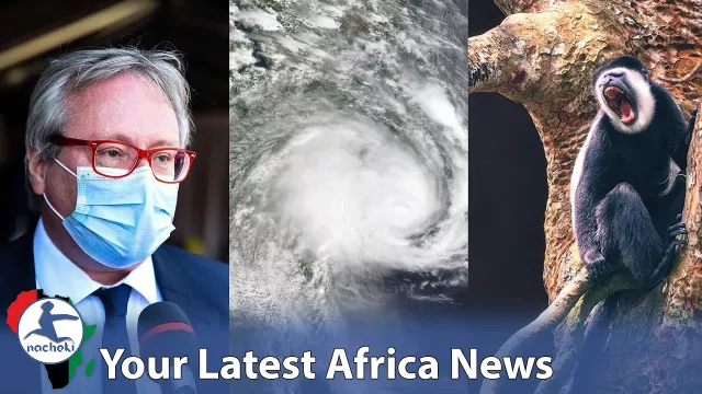 Mali Kicks Out French Ambassador, Zimbabwe Braces For Another Cyclone, Kenya Airways Monkeys Ban