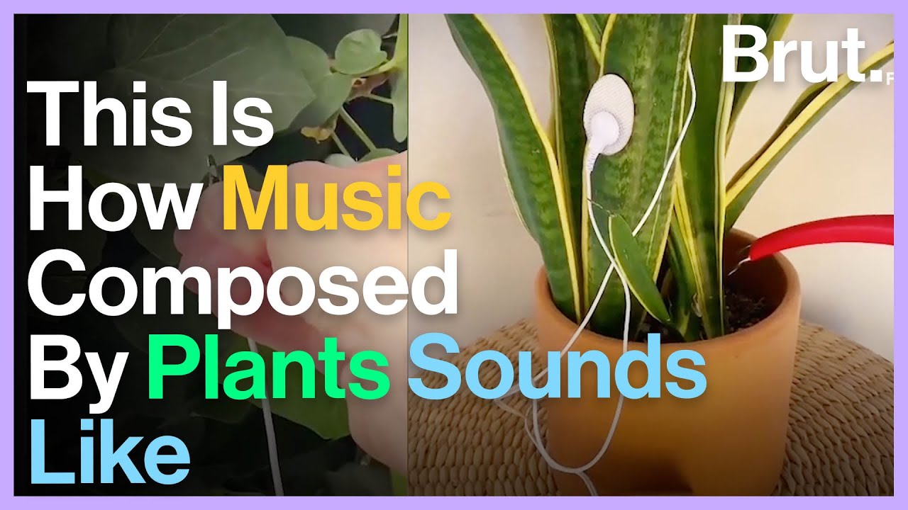 Artist Invents Device That Can Create Music From Plant Frequencies