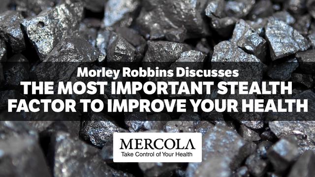 The Most Important Stealth Factor to Improve Your Health- Interview with Morley Robbins