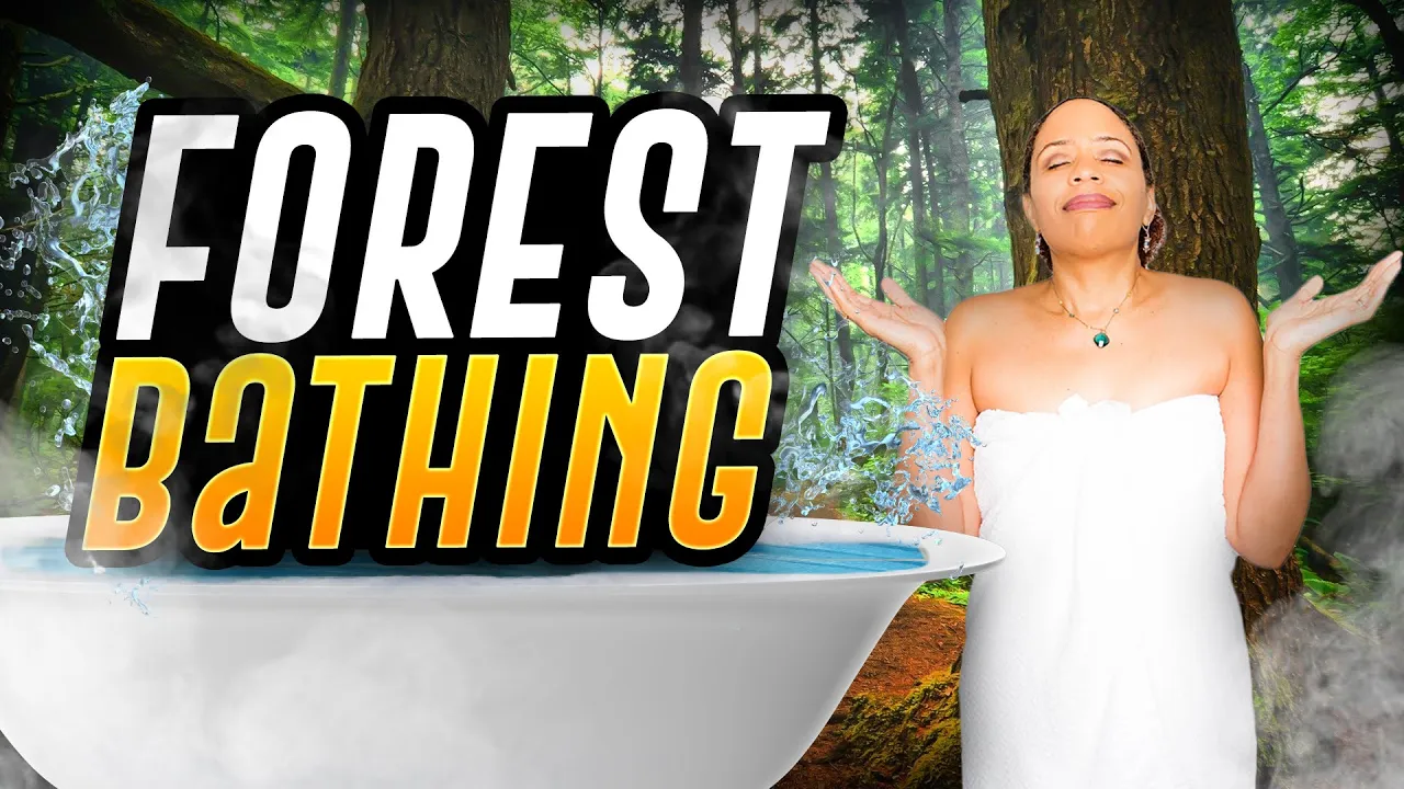 What is Forest Bathing? The Science Behind Stress Relief