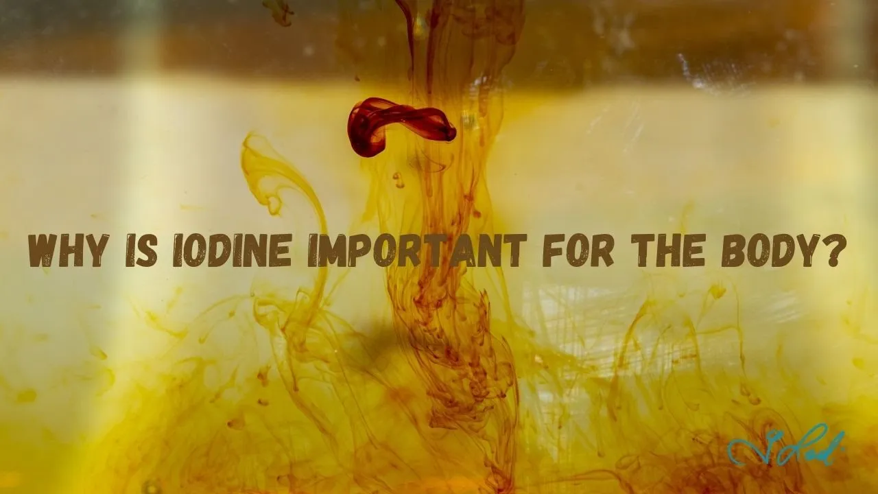Why Is Iodine Important To The Body?