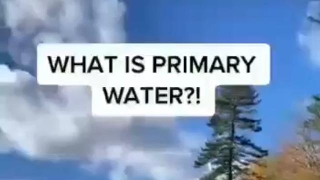 What is Primary Water?