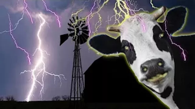 Lightning Strikes Kills Cattle, Farmers Selling their Cows