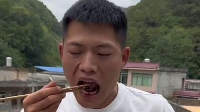 Eat the bugs they said, it will be good for you