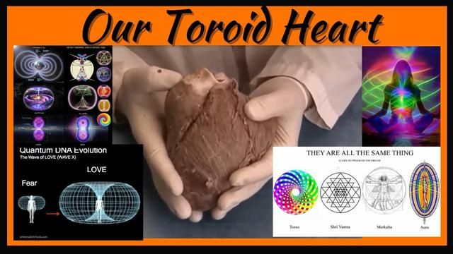 OUR TOROID HEART
