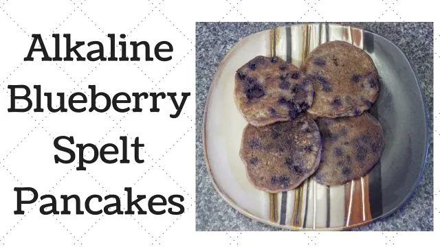 Blueberry Spelt Pancakes Dr.Sebi Alkaline Electric Recipe