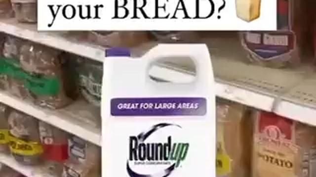 IS ROUNDUP WEED KILLER IN YOUR BREAD?