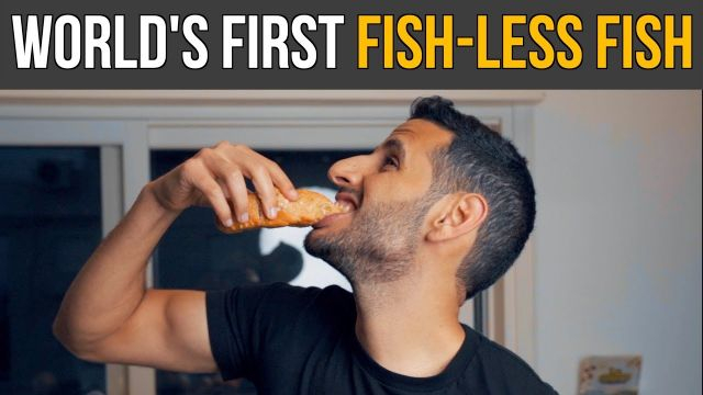 World's First Fish-Less Fish (Salmon)