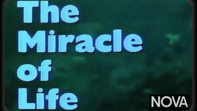 PBS Nova The Miracle of Life (1983