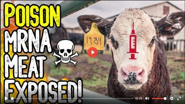 Poison mRNA Meat Exposed - They Want To Vaccinate Your Food