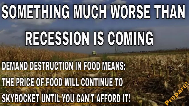GET FOOD NOW! - BEFORE YOURE PRICED OUT OF IT - GLOBAL FOOD PRICES SOAR