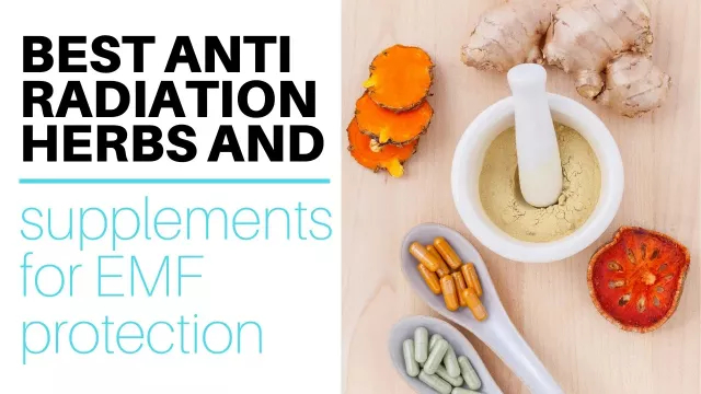 Best Anti Radiation Herbs and Supplements for EMF Protection