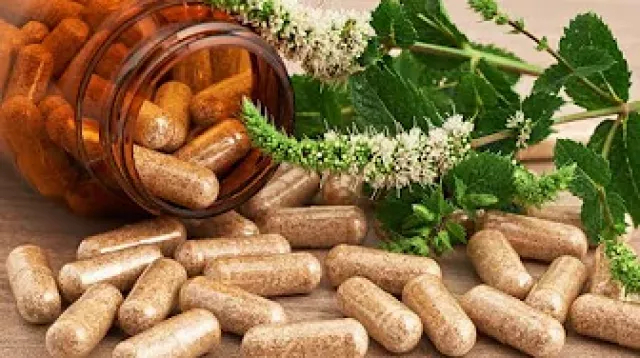 Pine Bark Extracts are Antioxidant, Anti-inflammatory, Anticancer, Cardioprotective, Neuroprotective