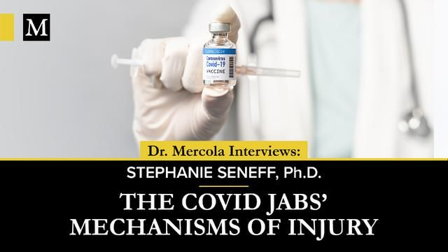 The COVID Jabs’ Mechanisms of Injury- Interview with Stephanie Seneff, Ph.D.
