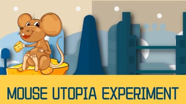 Mouse utopia experiment - explanation