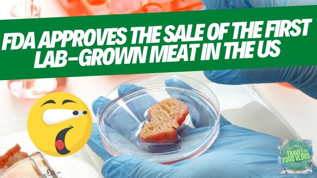FDA approves the sale of the first lab-grown meat in the US