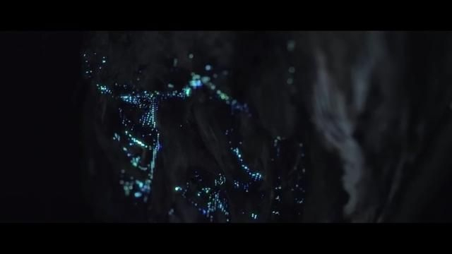 Bioluminescent Forest