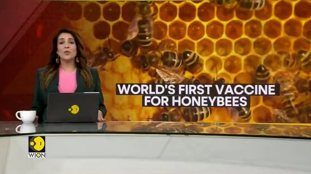 US has approved world's first vaccine for honeybees