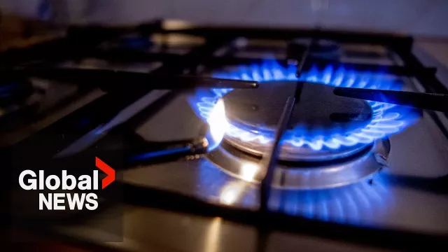 Could natural gas stoves be banned from homes in US or Canada over airborne pollutants?