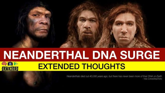 Neanderthals DNA Surge?