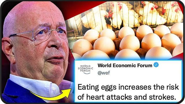 WEF Vows to BAN 'Dangerous' Eggs After Study Finds They Cure COVID Naturally - The People's Voice