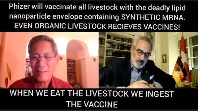 ALL ANIMAL VACCINES TO CONTAIN DEADLY MRNA PLUS DEADLY LIPID NANOPARTICLE: FOOD CHAIN CONTAMINATED!