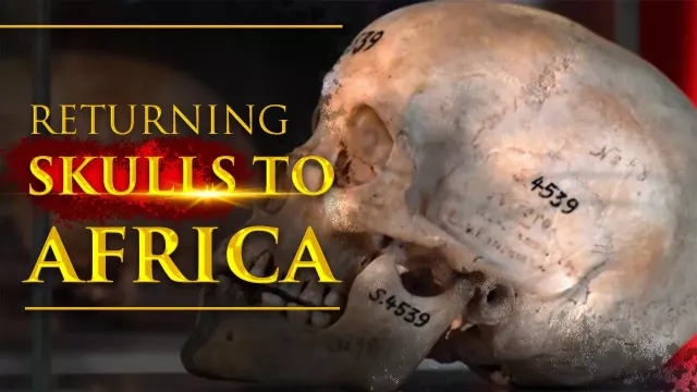 Germany Offers To Return 1,000 Skulls To Former East African Colonies