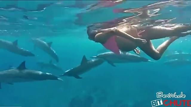 Dolphin Assisted Childbirth