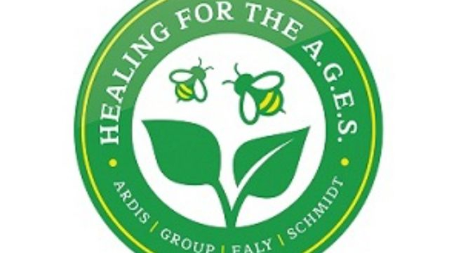 Healing for the AGES - Free Masterclass