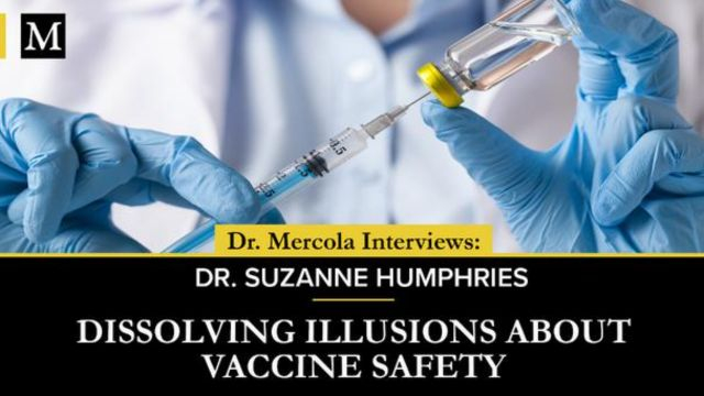 Dissolving Illusions About Vaccine Safety - Interview with Susanne Humphries