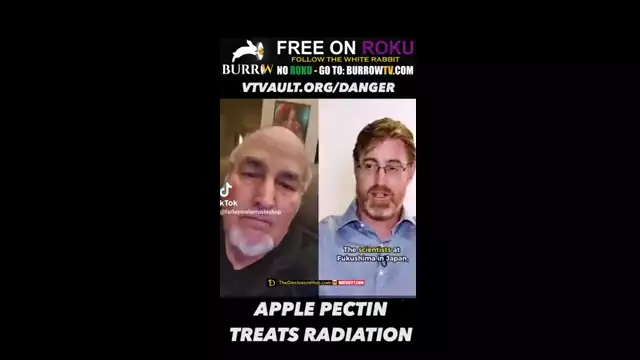 Apple Pectin Treats Radiation