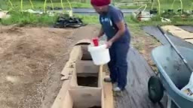 PLANTING POTATOES IN CARDBOARD BOXES