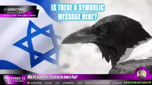 Why are angry birds attacking the JEWlSH Flag?