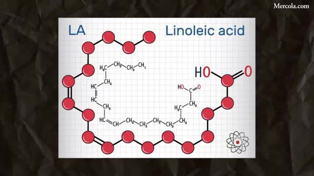 LINOLEIC ACID - A TOXIN LURKING IN YOUR FOOD