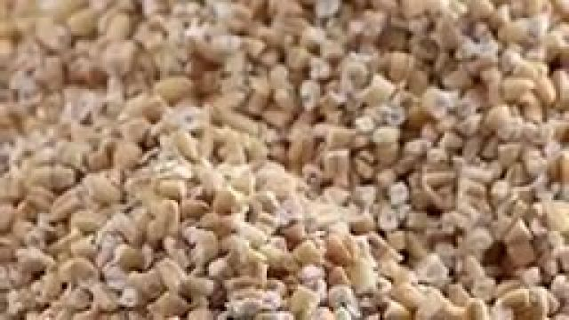 The MIRACLE Healing of OATMEAL - Dr. Mandell