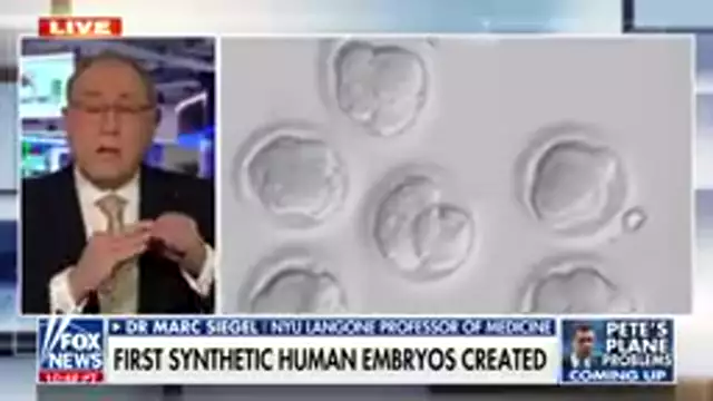 First synthetic human embryos created
