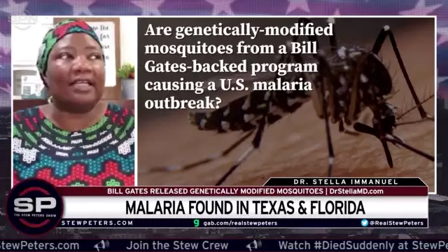Bill Gates’ GENETICALLY MODIFIED Mosquitoes Causes Malaria Outbreak- MSM Claims It’s A Coincidence