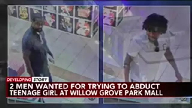 Suspects in attempted abduction at Pennsylvania mall possibly approached another teen - Police