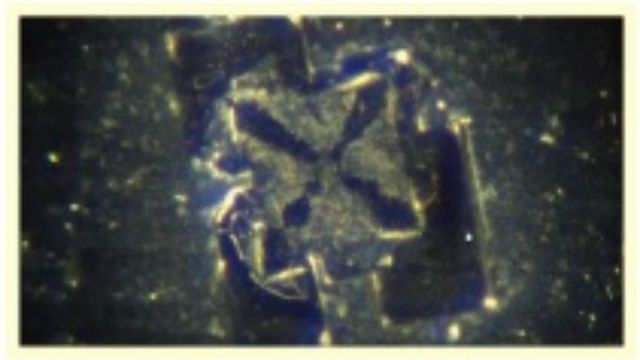 Nanotechnology Found in Both Vaxxed And Un-Vaxxed