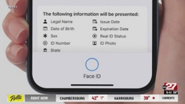 12 states allow digital driver's license