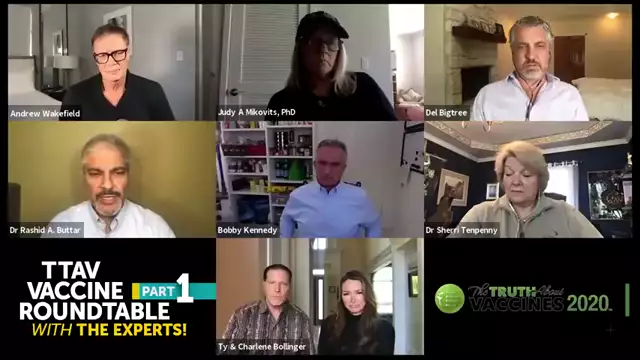 The Truth About Vaccines 2020 'Vaccine Roundtable' (Part 1)
