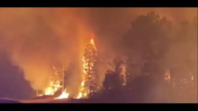 Entire Louisiana Town Forced to Evacuate Due to Raging Wildfire!
