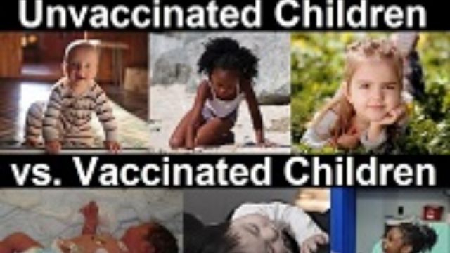 Brian Hooker & Steve Kirsch - What Science Says About Vaccinated & Unvaccinated Children