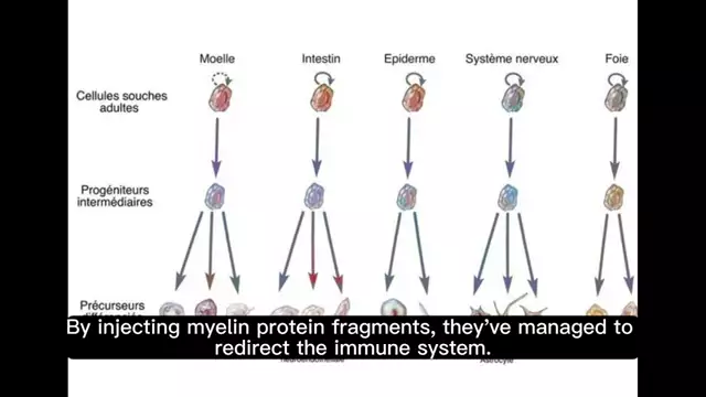 Autoimmune Treatment - The ''Promise'' of the Inverse Vaccine