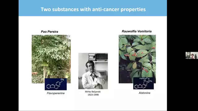 Science Backed Anti-Cancer Plants from Africa and the Amazon Rainforest